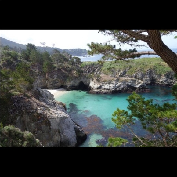 Meet your Posher, Shelly - Picture 5 of 6